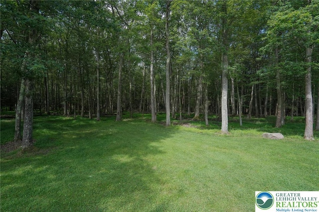144 Dogwood Dr, Penn Forest Twp, PA 18229 - photo 68