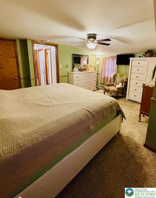 2734 Old Bethlehem Pike, Milford Twp, PA 18951 - bedroom with carpet and a ceiling fan