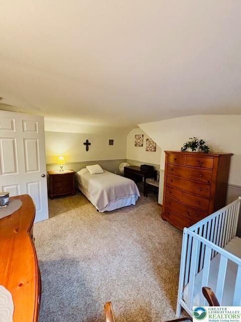 2734 Old Bethlehem Pike, Milford Twp, PA 18951 - bedroom with carpet floors