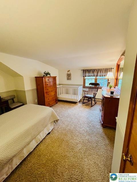 2734 Old Bethlehem Pike, Milford Twp, PA 18951 - bedroom with light colored carpet