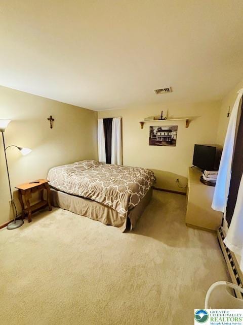 2734 Old Bethlehem Pike, Milford Twp, PA 18951 - bedroom featuring baseboard heating and light carpet