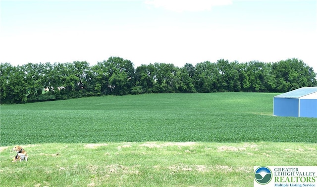 2841 Willow St, North Whitehall Twp, PA 18037 - view of grassy yard with an outbuilding