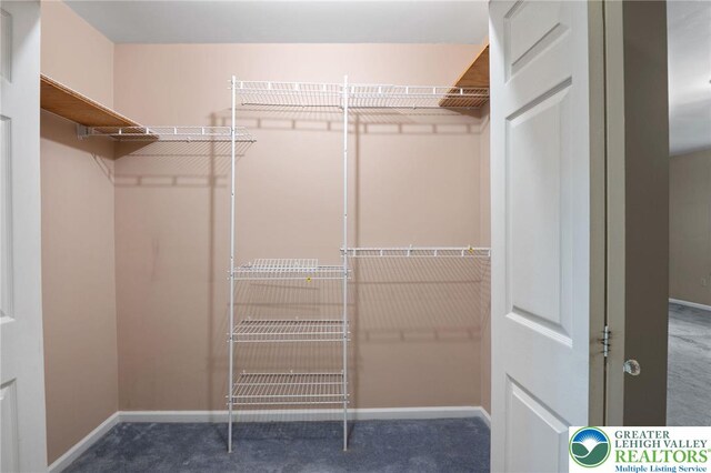 242 Schoeneck Ave, Nazareth Boro, PA 18064 - walk in closet with carpet flooring