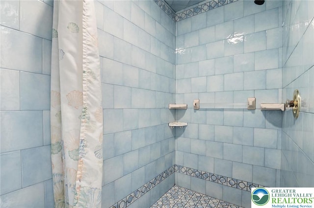 242 Schoeneck Ave, Nazareth Boro, PA 18064 - bathroom featuring a tile shower
