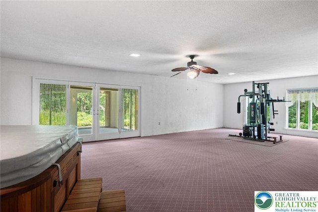 242 Schoeneck Ave, Nazareth Boro, PA 18064 - workout room featuring carpet floors and a ceiling fan