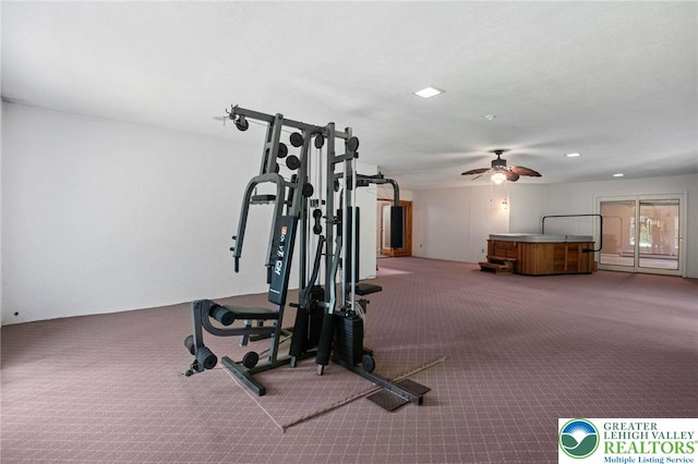 242 Schoeneck Ave, Nazareth Boro, PA 18064 - exercise area featuring carpet flooring and ceiling fan