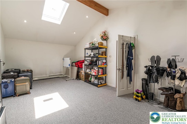 1555 Longleaf Dr, Chestnuthill Twp, PA 18330 - storage area featuring a skylight and a baseboard radiator