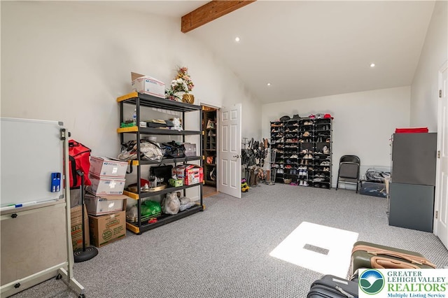 1555 Longleaf Dr, Chestnuthill Twp, PA 18330 - miscellaneous room with carpet flooring and recessed lighting