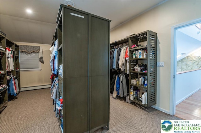 1555 Longleaf Dr, Chestnuthill Twp, PA 18330 - spacious closet with baseboard heating and carpet