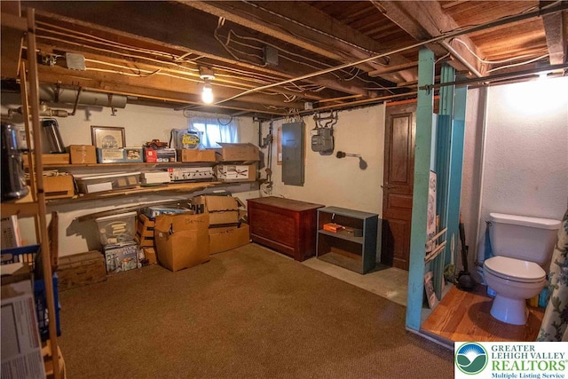 1666 Newport Ave, Northampton Boro, PA 18067 - below grade area with electric panel and carpet floors