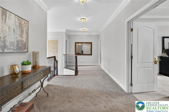 4508 Homestead Dr, Lower Nazareth Twp, PA 18064 - corridor with carpet, an upstairs landing, and ornamental molding