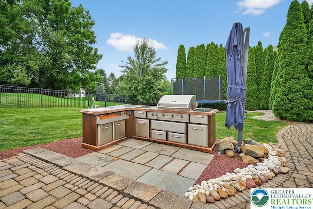 4508 Homestead Dr, Lower Nazareth Twp, PA 18064 - view of patio / terrace with an outdoor kitchen, a trampoline, and view of wooded area