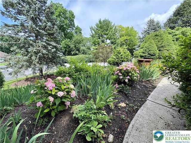 3706 Surrey Dr, South Whitehall Twp, PA 18103 - photo 10