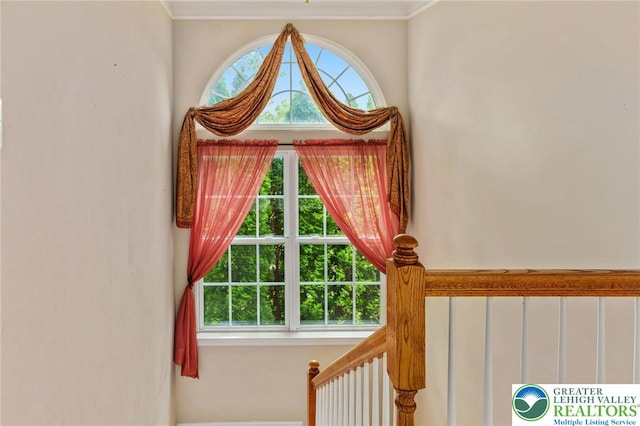 232 S 33rd St, South Whitehall Twp, PA 18104 - detailed view of crown molding