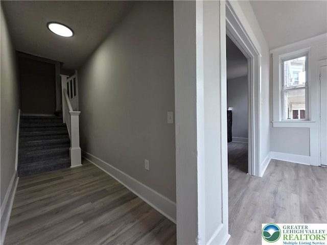 161 W Wilkes Barre St, Easton, PA 18042 - photo 15