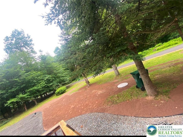 9379 Fairmount, Coolbaugh Twp, PA 18466 - view of yard