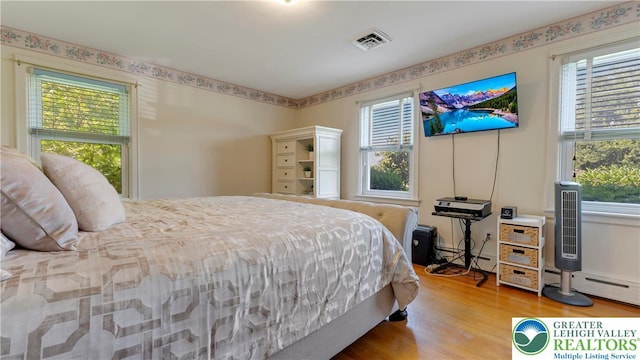 2930 Green Pond, Palmer Twp, PA 18045 - bedroom with wood finished floors, multiple windows, and a baseboard radiator