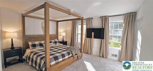 12 Concord Ct, Easton, PA 18040 - bedroom featuring multiple windows and light colored carpet