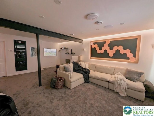 12 Concord Ct, Easton, PA 18040 - living area with carpet