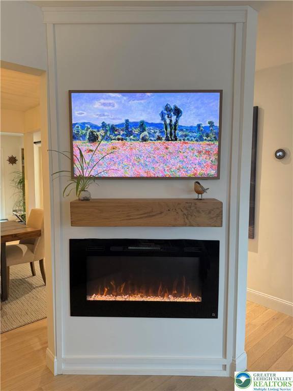 12 Concord Ct, Easton, PA 18040 - detailed view of a glass covered fireplace and wood finished floors