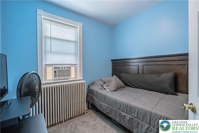 858 Radclyffe St, Bethlehem City, PA 18017 - bedroom featuring radiator, carpet flooring, and cooling unit