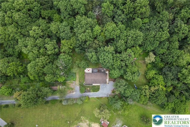 2954 Avery Rd, Washington Twp, PA 18080 - bird's eye view