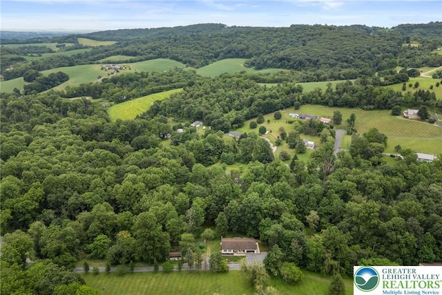 2954 Avery Rd, Washington Twp, PA 18080 - bird's eye view of a heavily wooded area