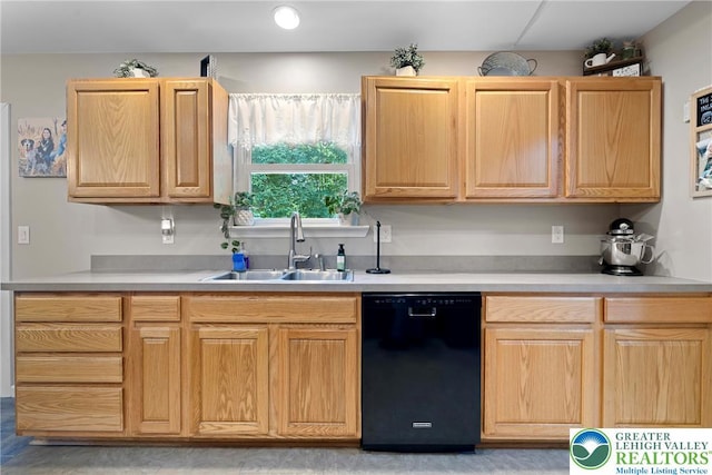 2954 Avery Rd, Washington Twp, PA 18080 - kitchen featuring dishwasher, light countertops, and light brown cabinets