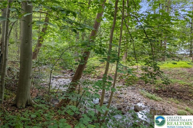 2954 Avery Rd, Washington Twp, PA 18080 - view of woods