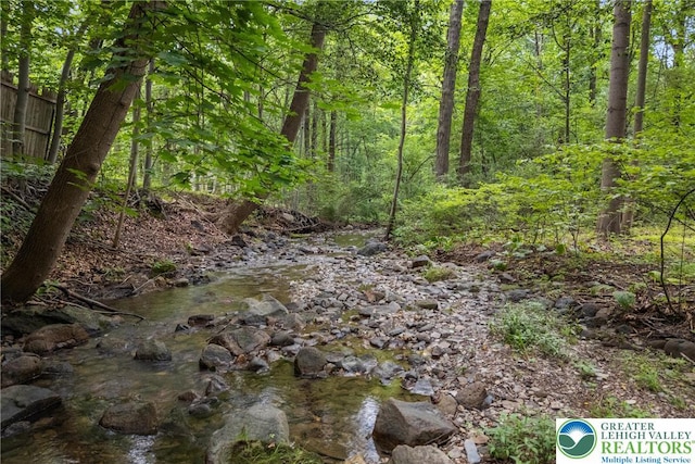 2954 Avery Rd, Washington Twp, PA 18080 - view of wooded area