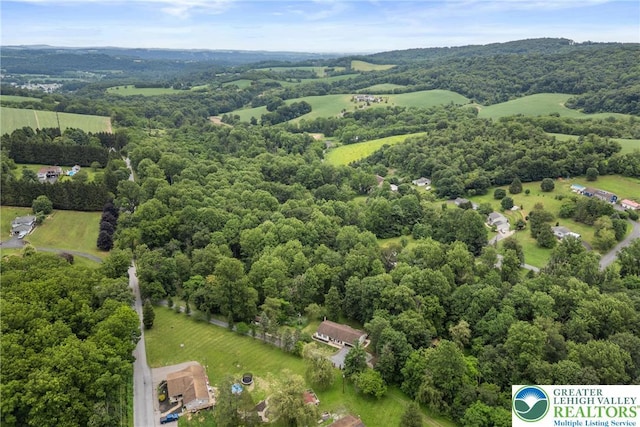 2954 Avery Rd, Washington Twp, PA 18080 - bird's eye view of a heavily wooded area