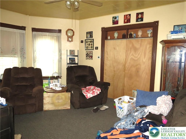 151 W Nesquehoning St, Easton, PA 18042 - living room featuring a ceiling fan and carpet floors