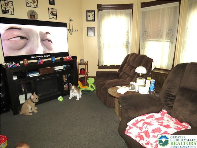 151 W Nesquehoning St, Easton, PA 18042 - view of carpeted living area