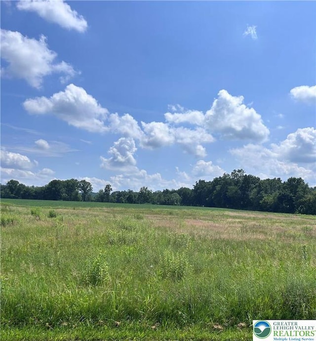 4255 Wood Dr Lot 1, Lehigh Twp, PA 18088 - view of undeveloped land with rural landscape