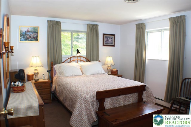 1321 Bushkill Center Rd, Bushkill Twp, PA 18091 - bedroom with carpet flooring and a baseboard heating unit