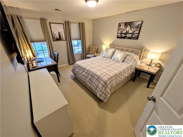 119 Gray Dr, Allen Twp, PA 18067 - carpeted bedroom with baseboards