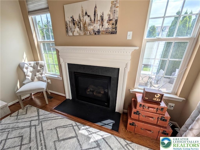 119 Gray Dr, Allen Twp, PA 18067 - detailed view of a fireplace with flush hearth and wood finished floors