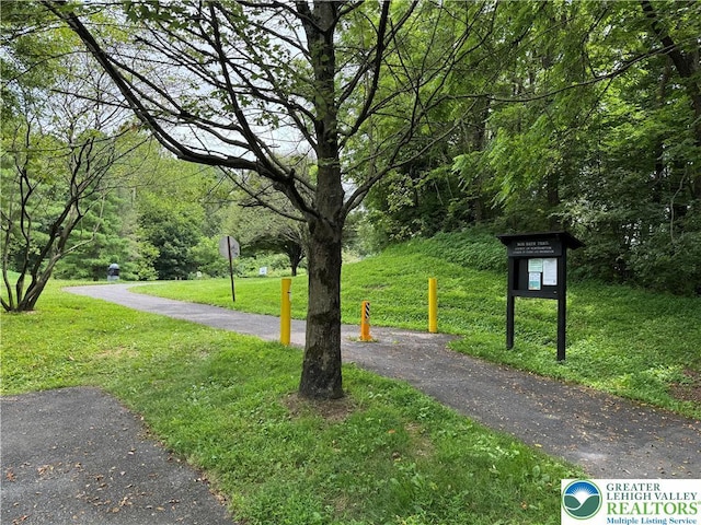 119 Gray Dr, Allen Twp, PA 18067 - surrounding community with a lawn
