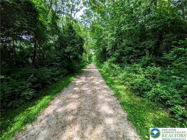 119 Gray Dr, Allen Twp, PA 18067 - view of road with a view of trees