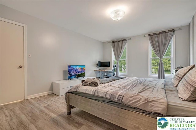 5 Flagstone Ln, East Stroudsburg, PA 18302 - bedroom featuring light wood finished floors and baseboards