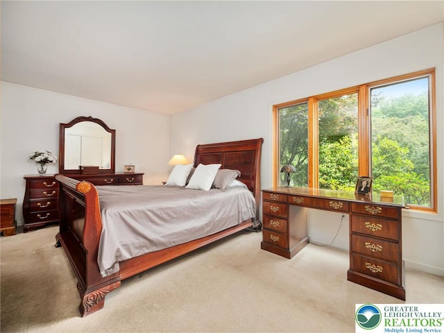 4582 Vera Cruz Rd, Upper Milford Twp, PA 18049 - photo 13