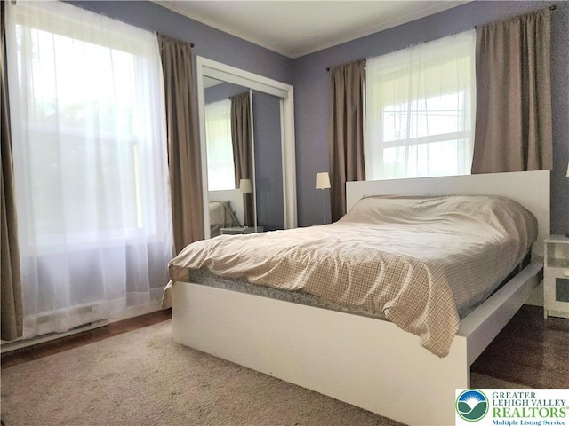 1025 Cricket Ln, Tobyhanna Twp, PA 18334 - bedroom featuring multiple windows and a closet