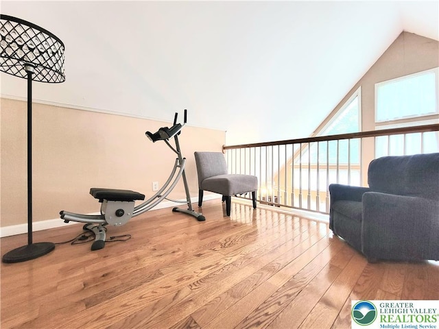 1025 Cricket Ln, Tobyhanna Twp, PA 18334 - exercise area featuring hardwood / wood-style flooring and lofted ceiling