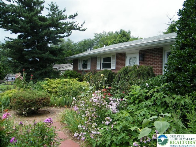 3415 Kathleen Ave, Salisbury Twp, PA 18103 - view of yard
