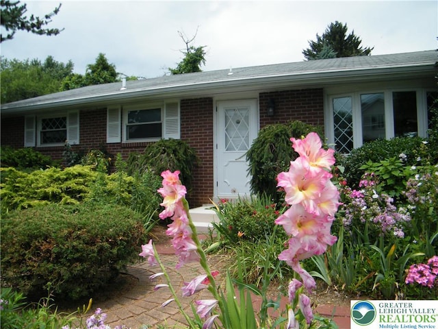 3415 Kathleen Ave, Salisbury Twp, PA 18103 - view of front of house with brick siding