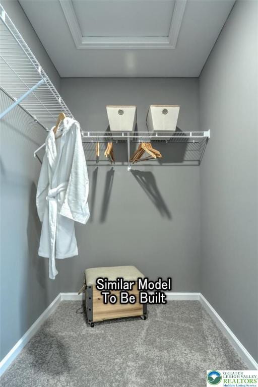 3229 Tepes Dr Lot 138, Allen Twp, PA 18067 - spacious closet featuring carpet floors