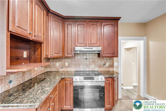 5734 Rte 873, North Whitehall Twp, PA 18078 - kitchen featuring stainless steel electric range oven, under cabinet range hood, dark stone counters, and backsplash