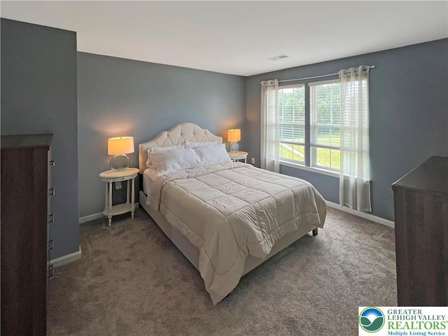 20 Gold Rose Ln, Palmer Twp, PA 18045 - carpeted bedroom with baseboards