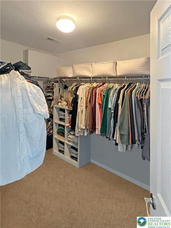 20 Gold Rose Ln, Palmer Twp, PA 18045 - walk in closet with carpet