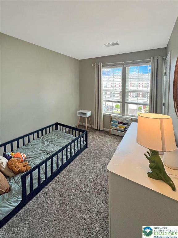 20 Gold Rose Ln, Palmer Twp, PA 18045 - bedroom with dark colored carpet